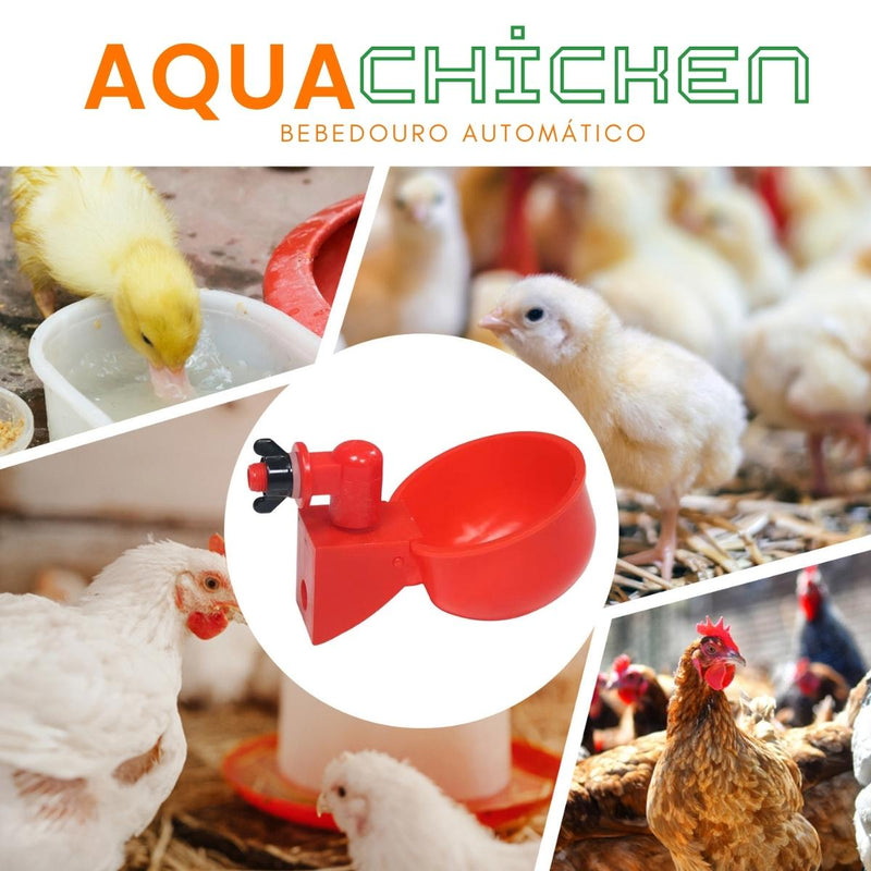 Bebedouro automático para galinhas AquaChicken