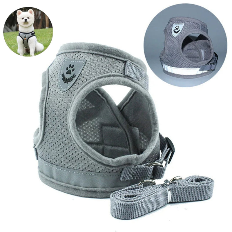 Conjunto Coleira Peitoral e Guia para Cães e Gatos Safety