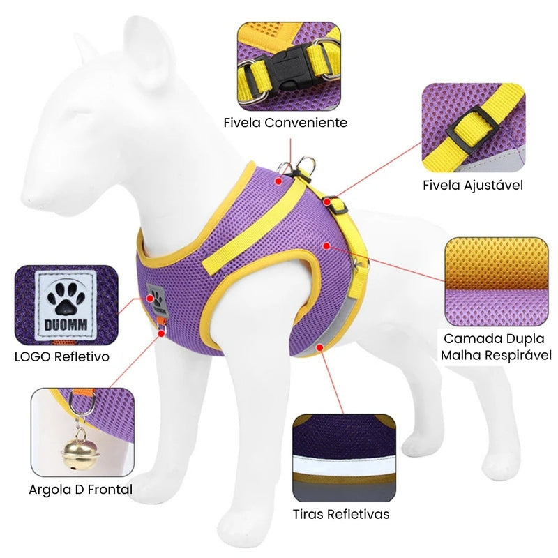 Conjunto Coleira Peitoral e Guia para Cães e Gatos Safety