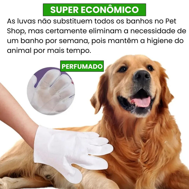 Luvas Umedecidas para Banho à Seco em Pet