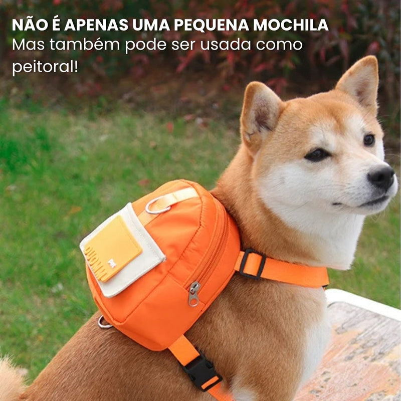 Mochila para cachorro com guia peitoral incluso PetPack