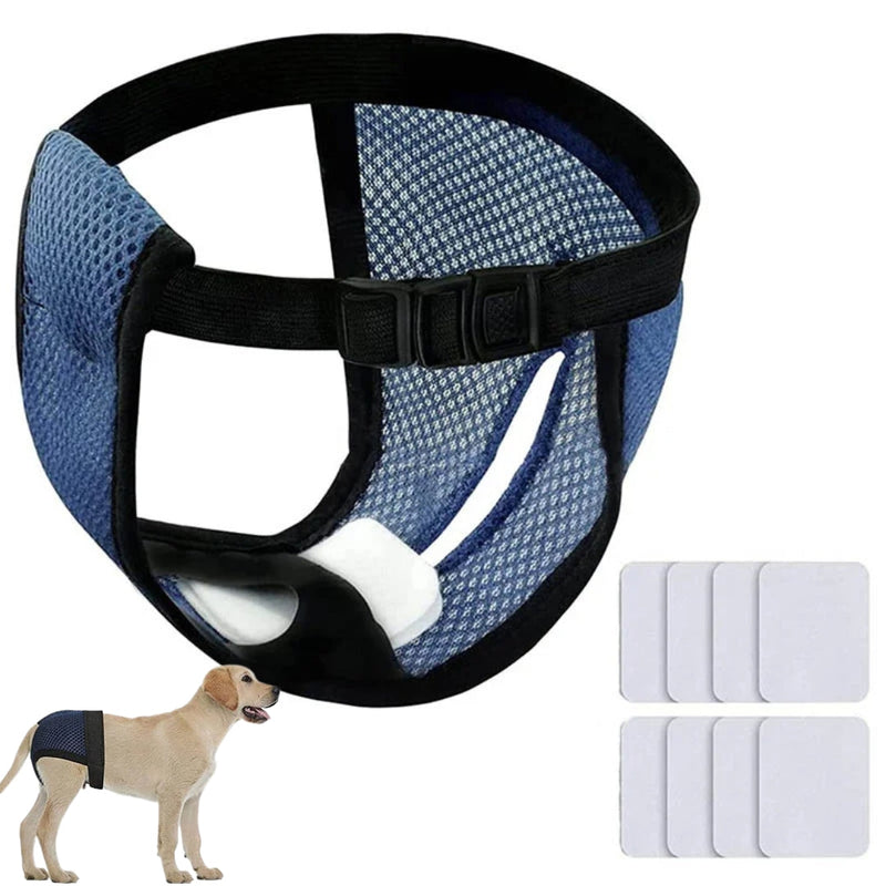 Roupa higiênica com absorvente para cachorro fêmea